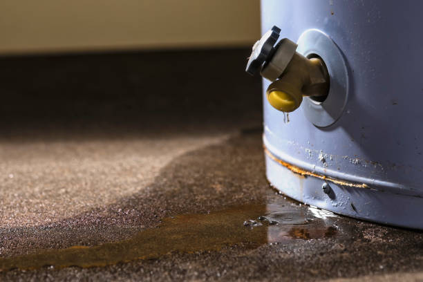Best Emergency water extraction  in West Hills, PA