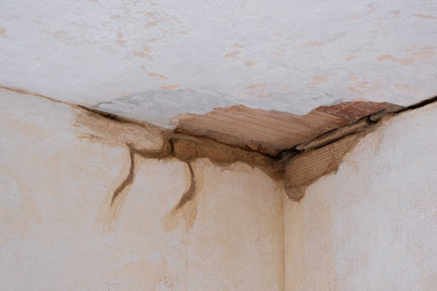 Best Water damage restoration mold remediation  in West Hills, PA