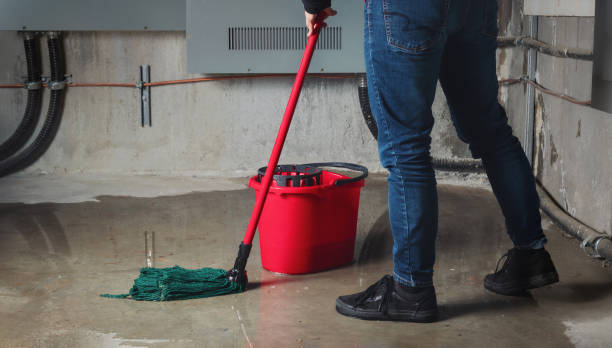 Best Basement water damage restoration  in West Hills, PA