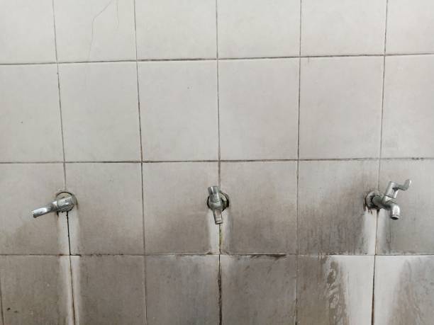 Best Mold removal after water damage  in West Hills, PA