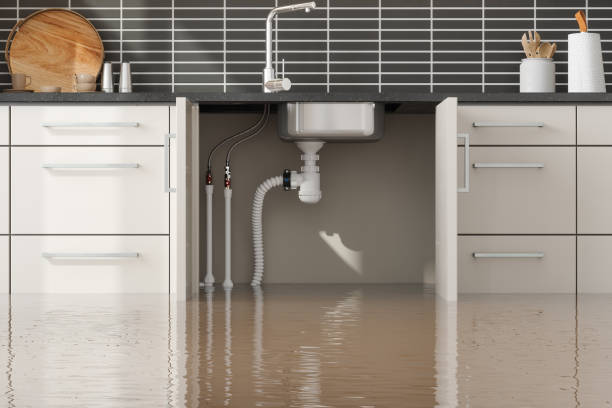 Best Fire Damage Restoration  in West Hills, PA